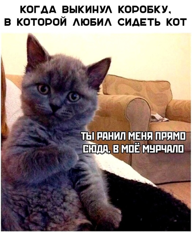 �������� �������� (20 ����)
