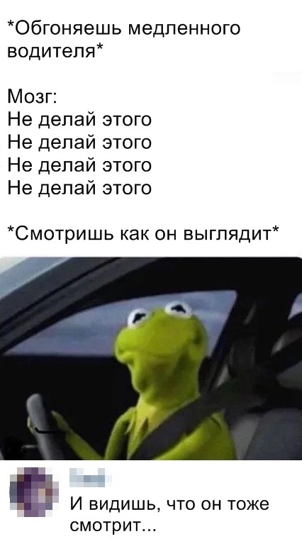 �������� �������� (20 ����)
