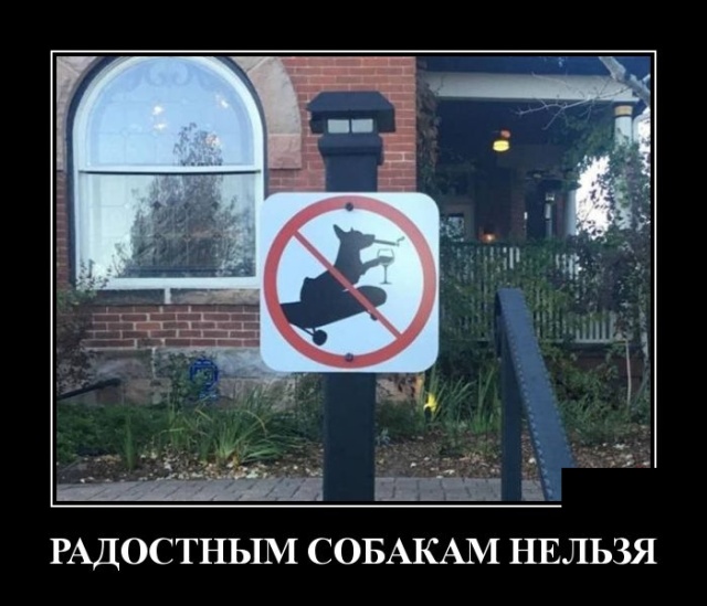 ������������ (30 ����)