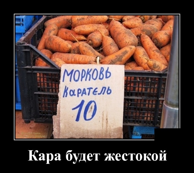 ������������ (30 ����)