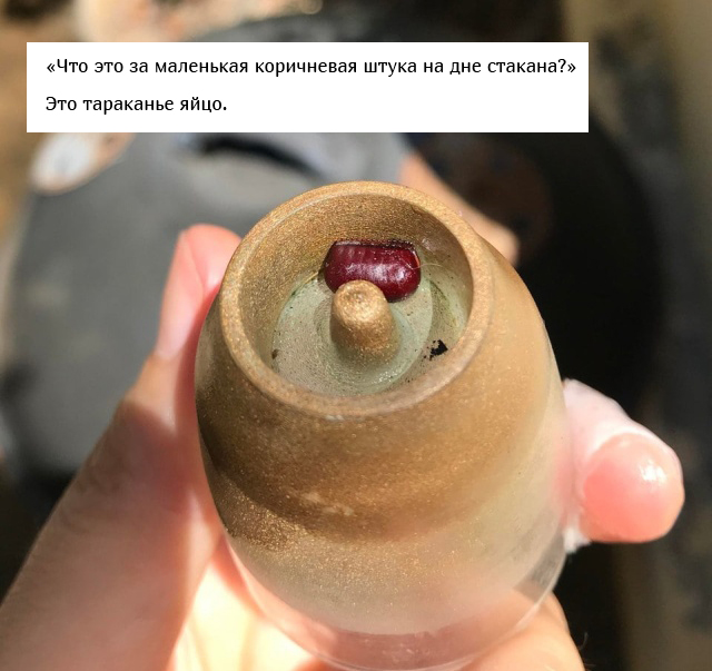  : "   ?" (16 )