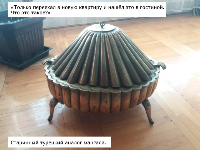  : "   ?" (16 )