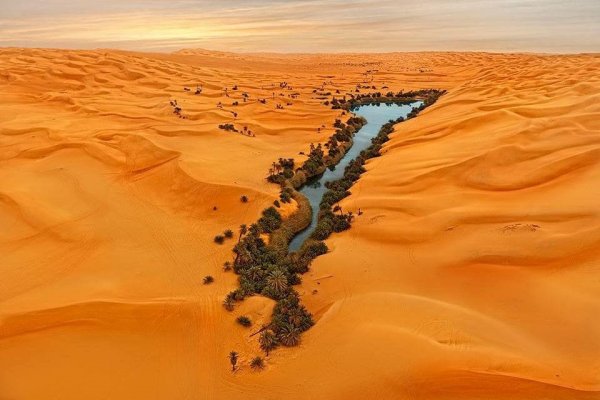 Интересные места и вещи, которые можно найти в пустыне