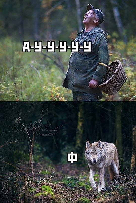      :    