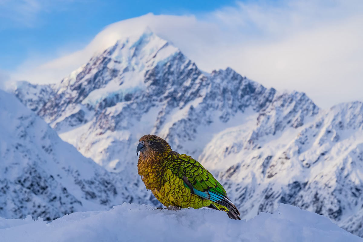    Sony World Photography Awards 2025