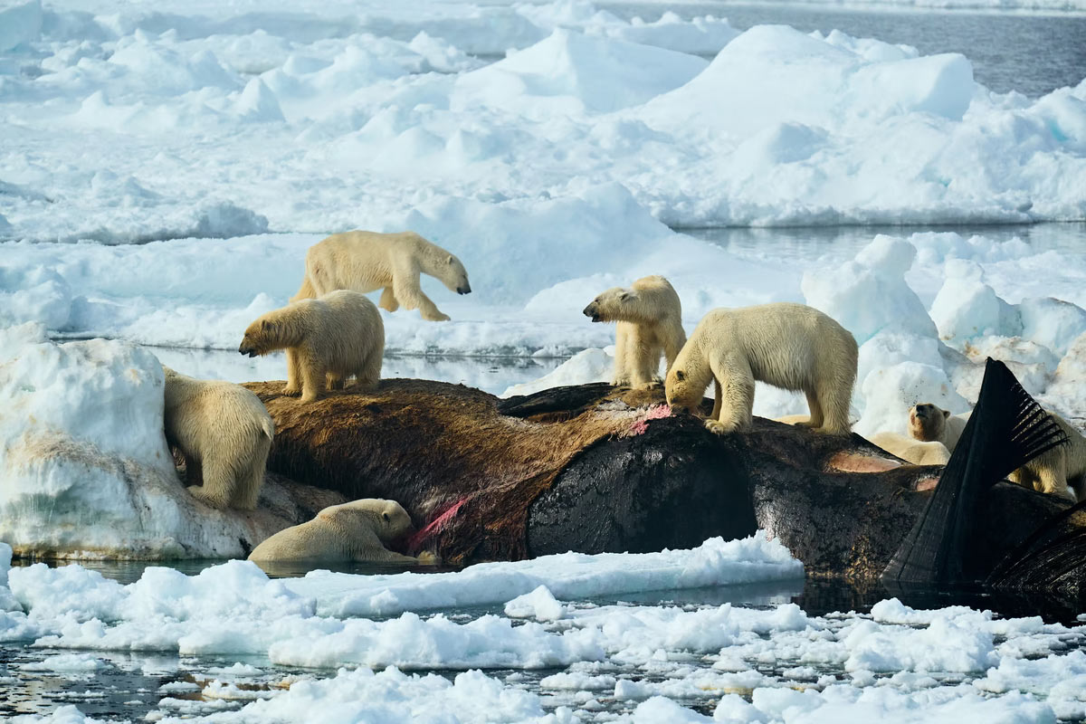    Sony World Photography Awards 2025