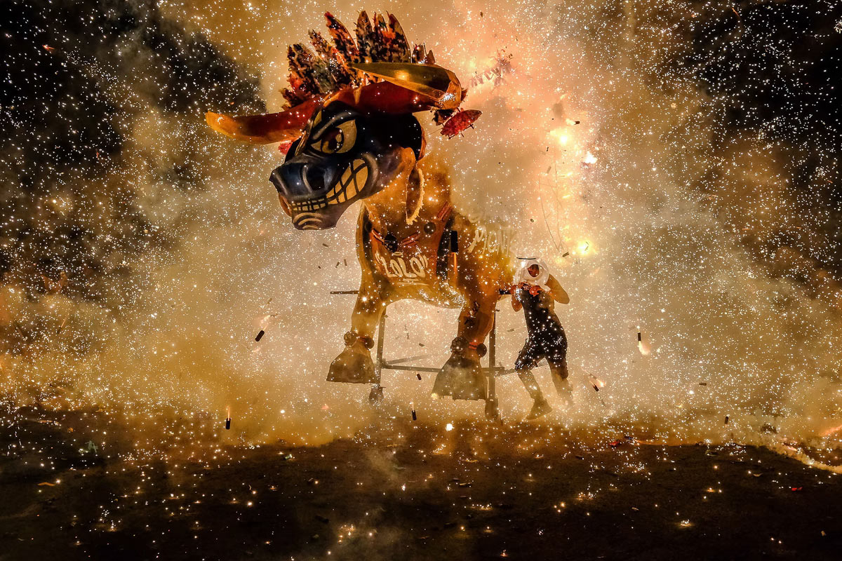    Sony World Photography Awards 2025