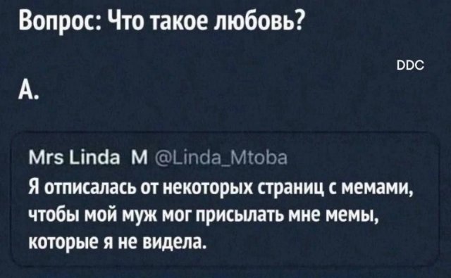 Мемы для вечернего настроения