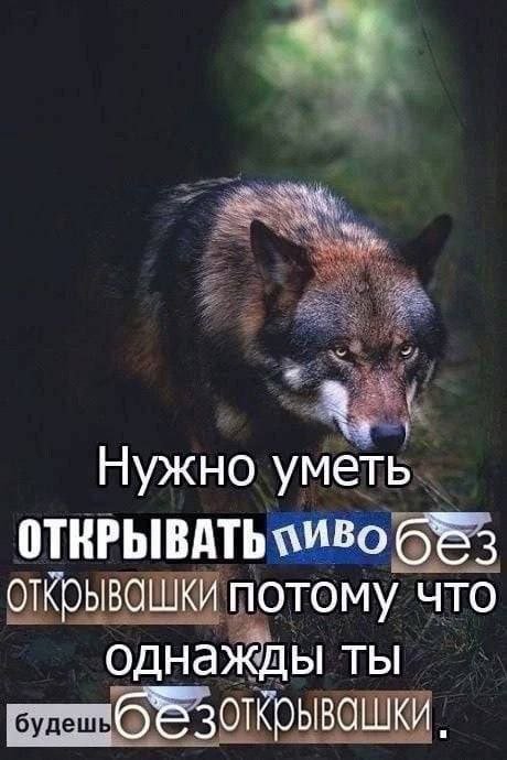 Мемы для вечернего настроения
