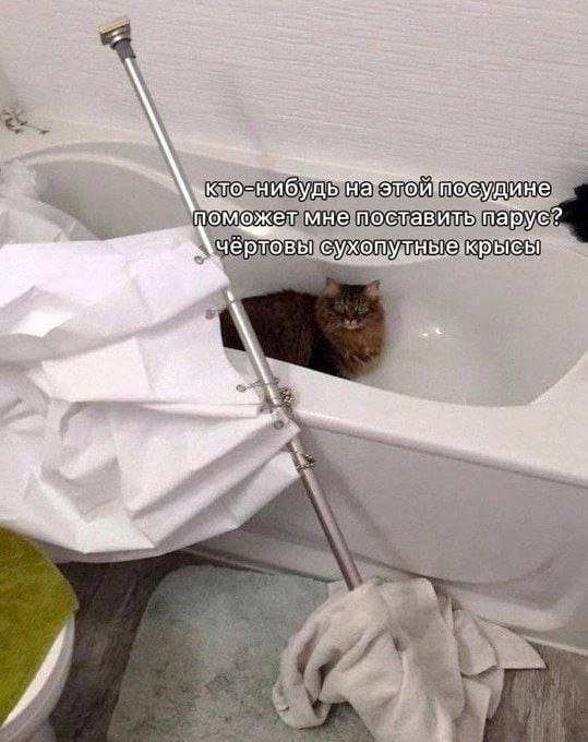 Мемы для вечернего настроения