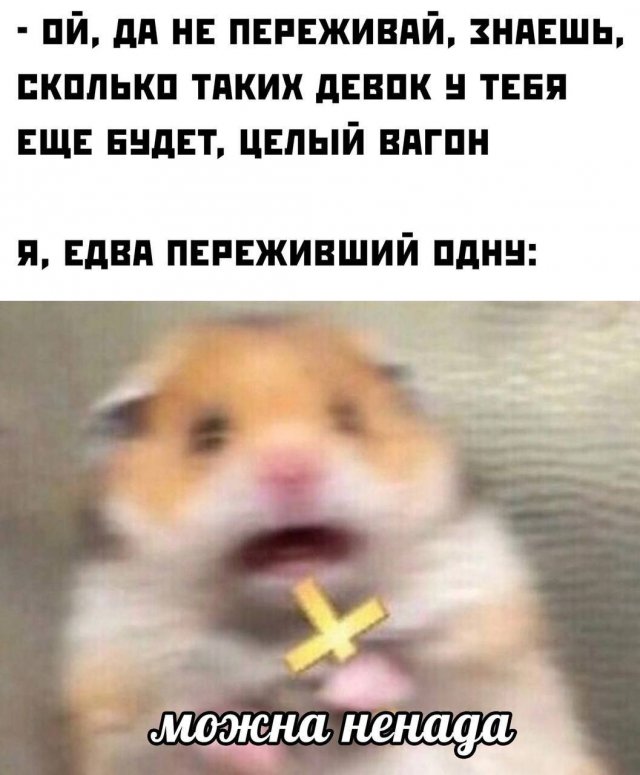 Мемы для вечернего настроения