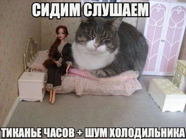    : ,     ""
