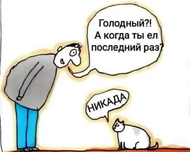   : ,     ""