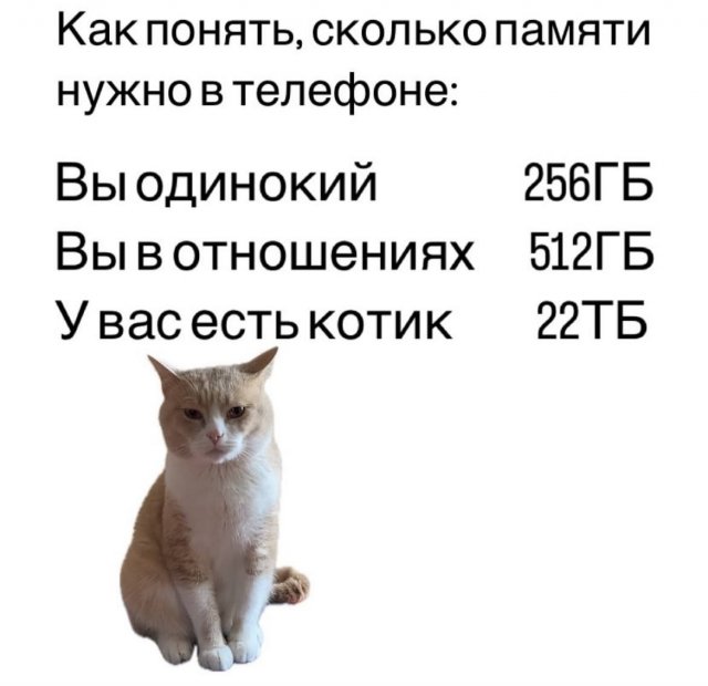    : ,     ""