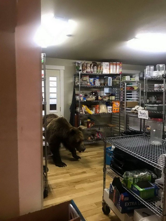 Когда день пошёл не по плану
