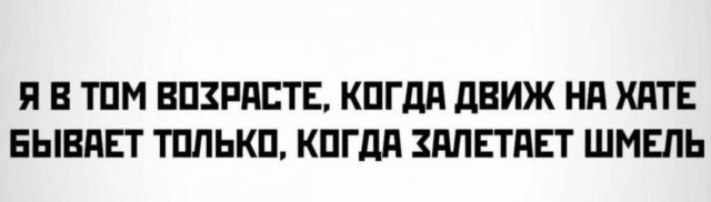 Смехотерапия: мемы с животными