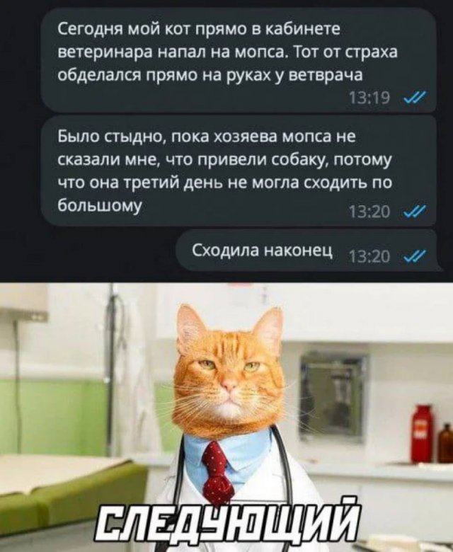 Смехотерапия: мемы с животными