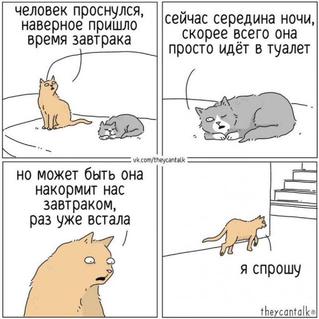 Смехотерапия: мемы с животными