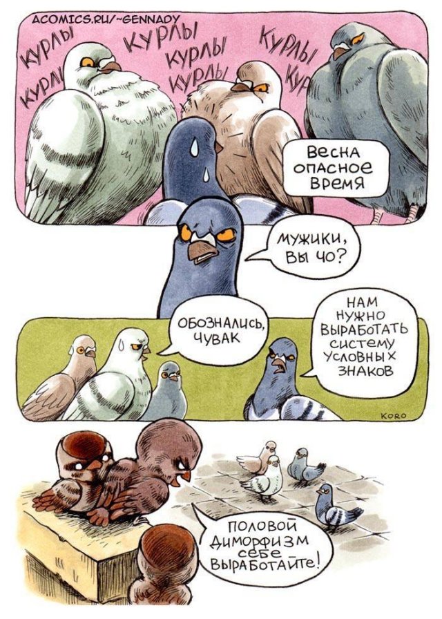 Смехотерапия: мемы с животными
