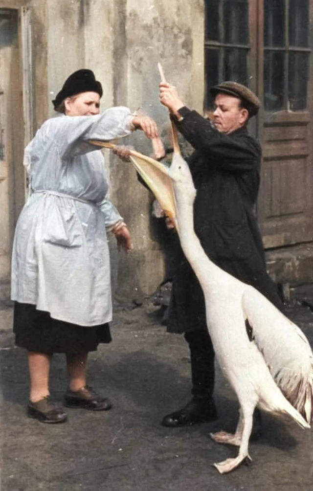    1920-