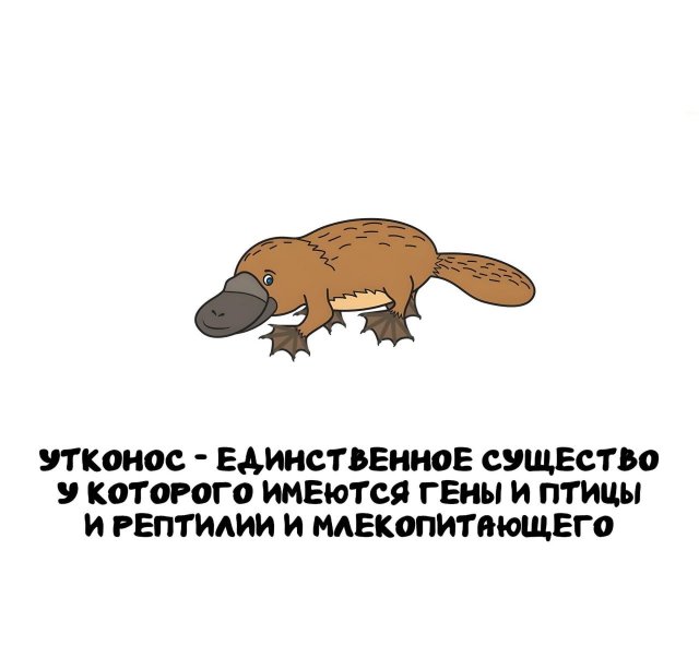 ,    