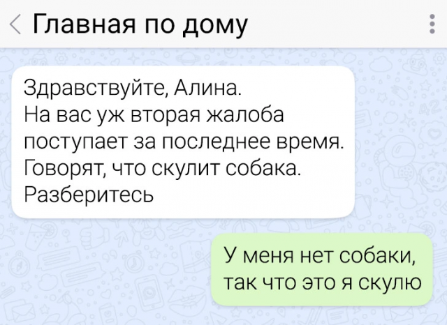   :  