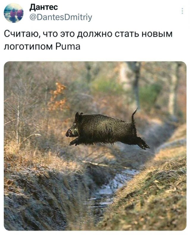   : ,    