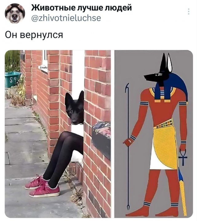   : ,    