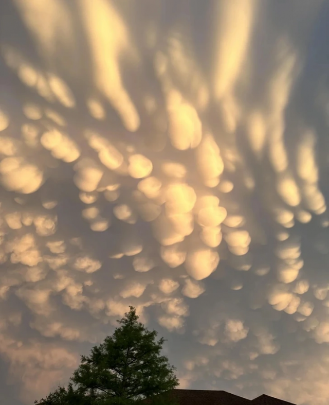 ������������ ���� � ����