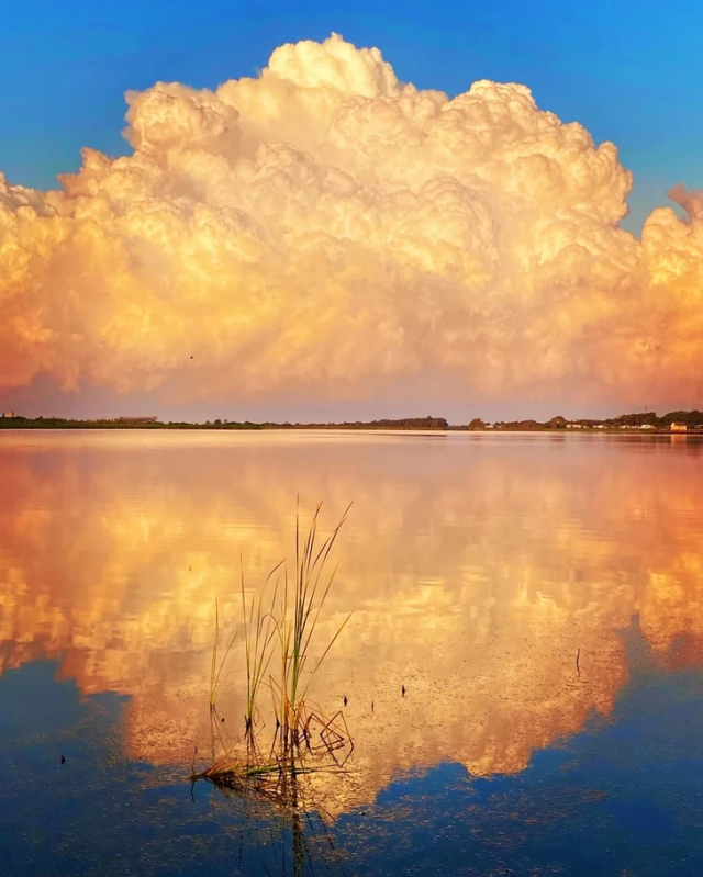 ������������ ���� � ����