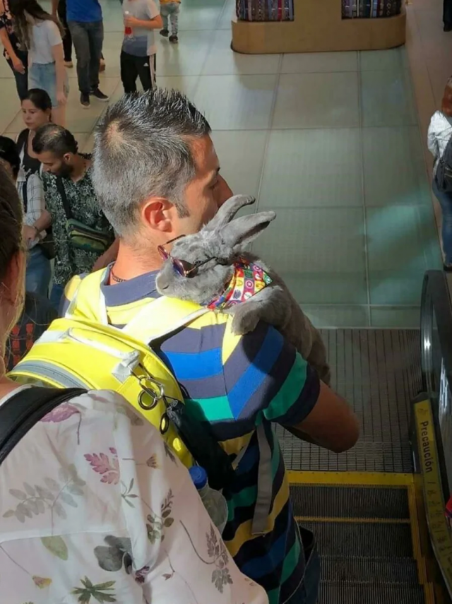 ����� � ������ ���� ���-�� ������������