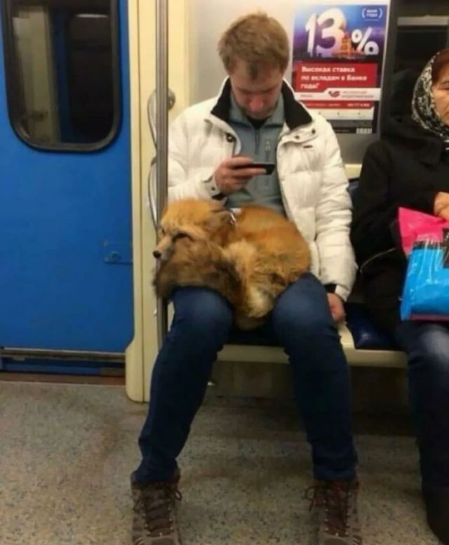 ����� � ������ ���� ���-�� ������������