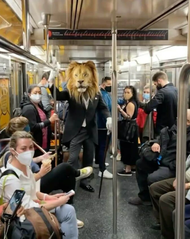 ����� � ������ ���� ���-�� ������������