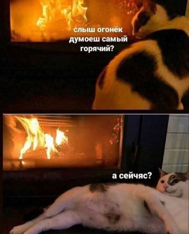 , ,      