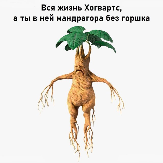 , ,      