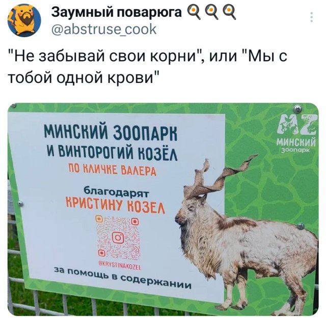 -,    