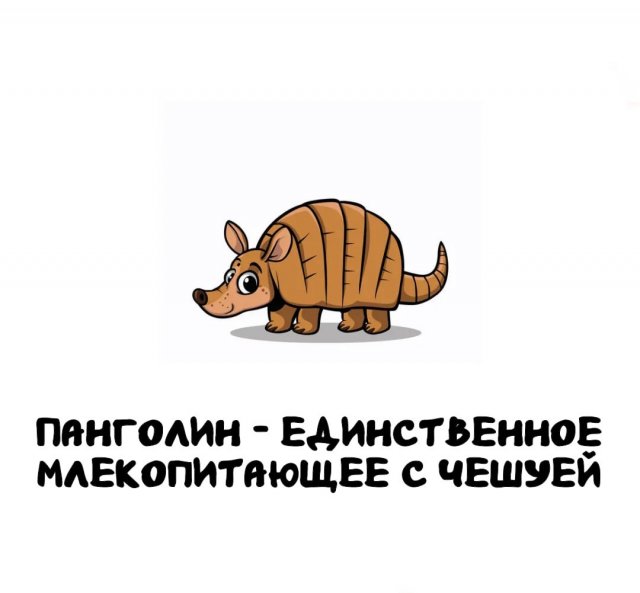,    