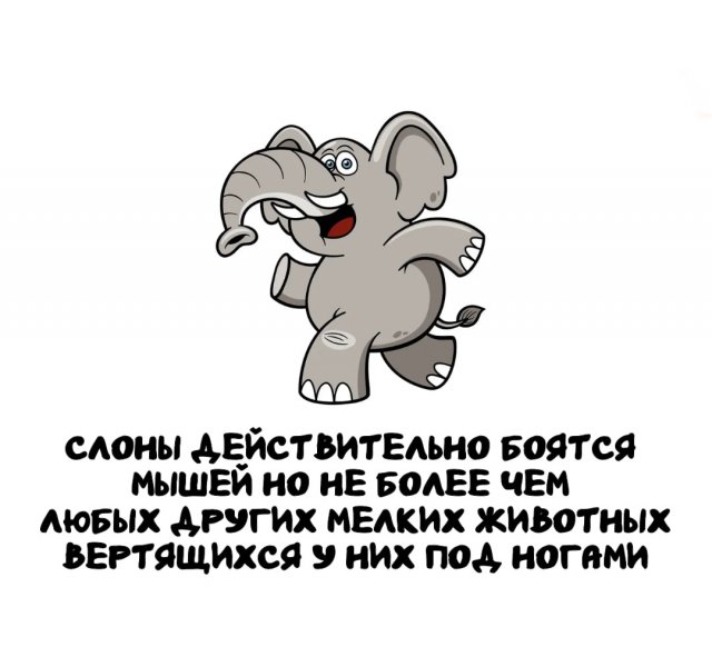 ,    