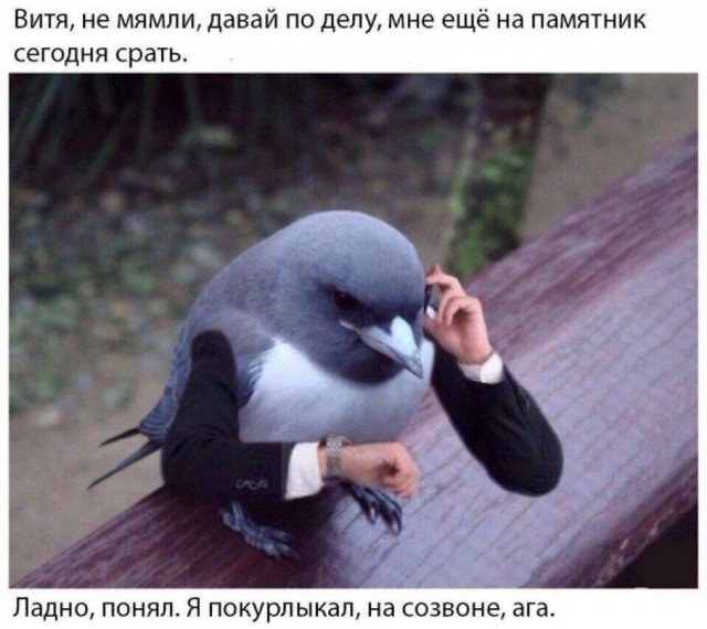   !