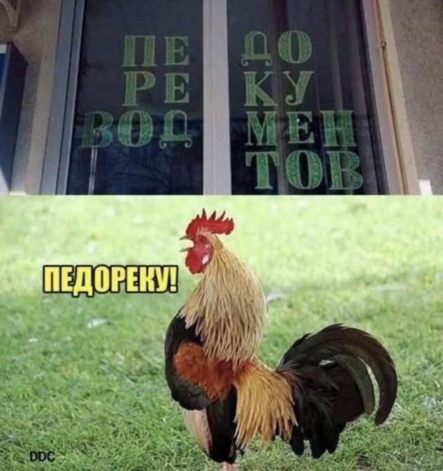 ,    ,     