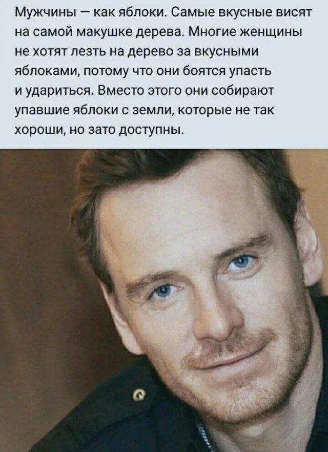 ,    ,     
