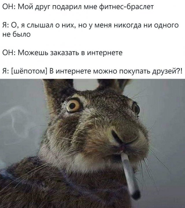 ,    ,     