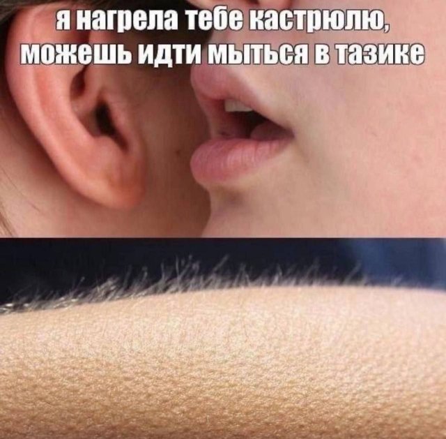 ,    ,     