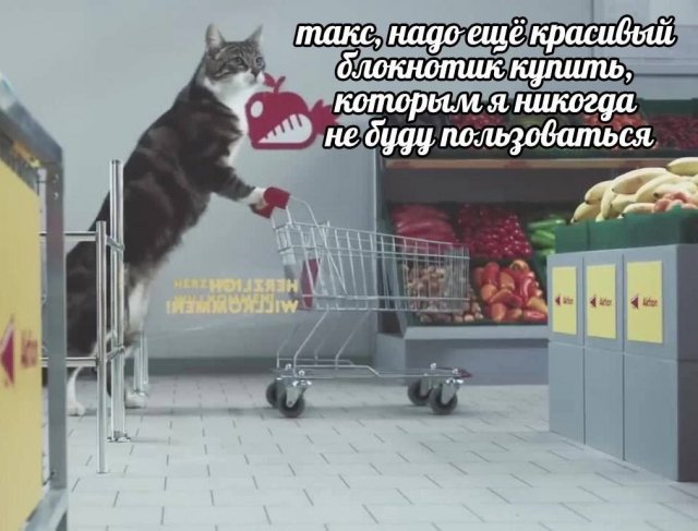,    ,     