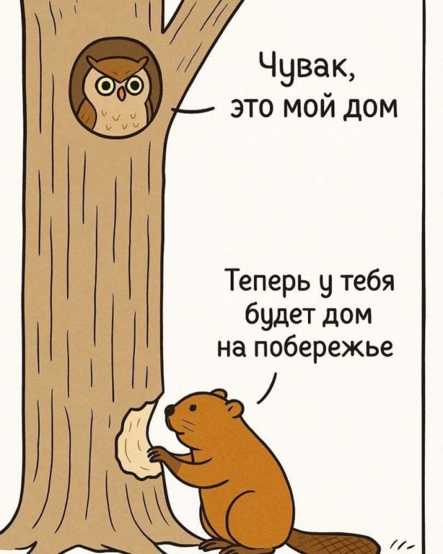 ,    ,     