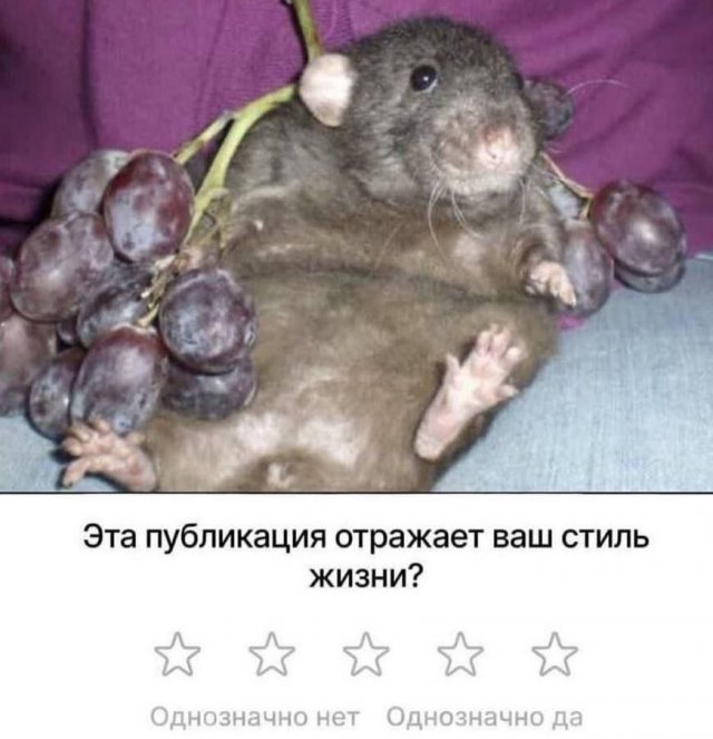 ,    ,     