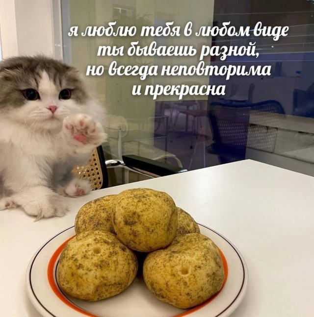      ,    
