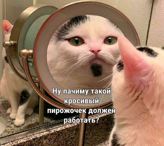      ,    
