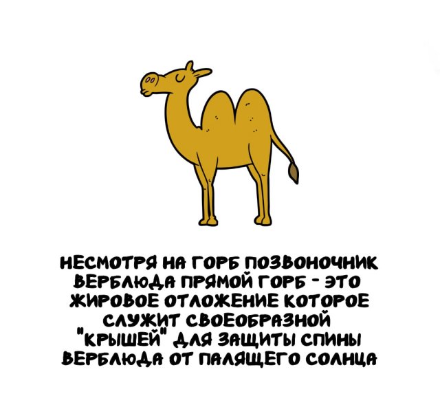 ,     ?