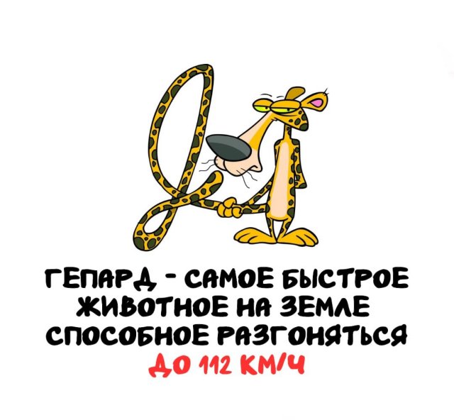 ,     ?